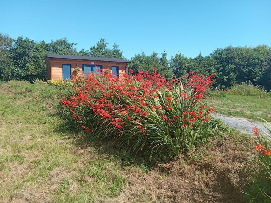 Ceaser'S Cabin Is A Cosy 1 Bedroom Cabin Лехінч Екстер'єр фото